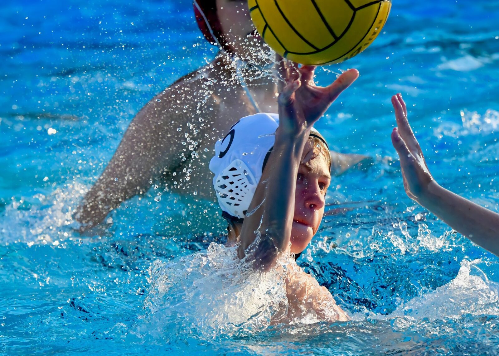 Orca Water Polo – The Oaks Recreational Club